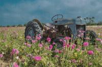 Stormy Tractor